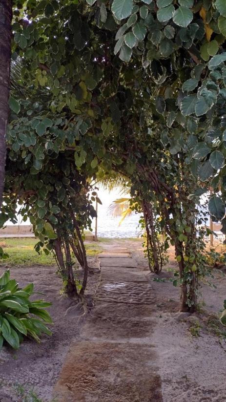 Oceano Atins Hotel Luaran gambar