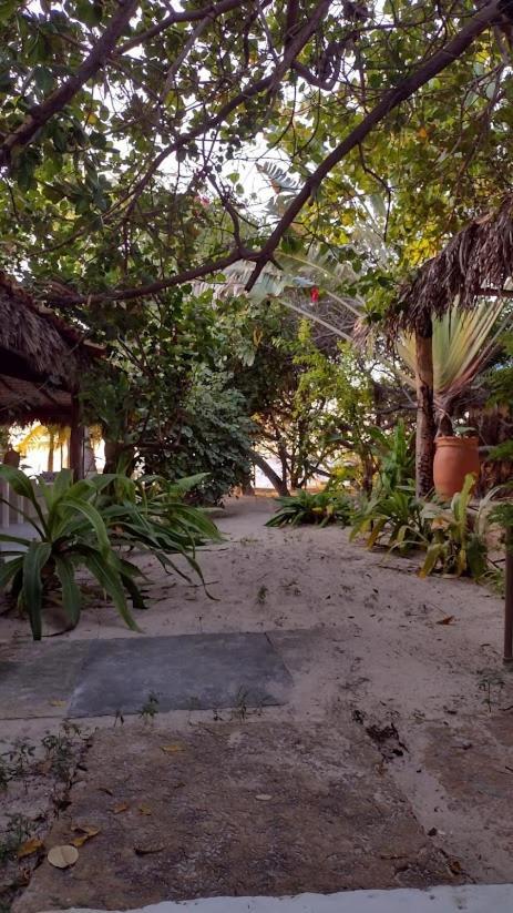 Oceano Atins Hotel Luaran gambar